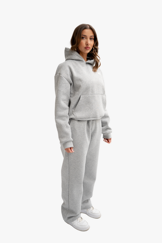 Sweat À Capuche Basique Gris
